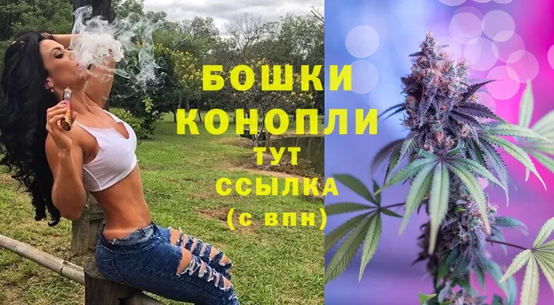 где купить   Гвардейск  Канабис индика 